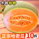 順豐新疆哈密瓜西州蜜甜瓜9斤當(dāng)季新鮮水果現(xiàn)摘網(wǎng)紋瓜蜜瓜整箱z 9斤整箱 普通快遞