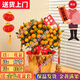 愛(ài)惜金桔盆栽四季大型觀(guān)賞金橘室內年橘年宵花卉年桔子樹(shù)植物帶果發(fā)貨 精品小年桔 （高40厘米）送配飾+盆