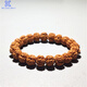 胖東來(lái)品質(zhì)猴頭手串精品樹(shù)王小金剛菩提雙龍核桃原籽文玩盤(pán)玩男佛 素珠款