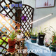 賽瑞特 夾子全光譜生長(zhǎng)燈仿太陽光調(diào)光定時(shí)植物燈魚缸草缸微景觀補(bǔ)光燈 黑色雙頭全光譜24w