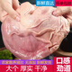 新鮮8只大豬肚去油散養(yǎng)農(nóng)家豬肉特大豬胃免洗豬肚6只特厚豬肚整箱 正宗整只豬肚4只【新鮮宰殺】
