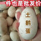 華旺【破損包賠】新鮮生鮮鵝蛋正宗農(nóng)家散養(yǎng)土鵝營養(yǎng)批發(fā)一整箱鵝蛋 山林自養(yǎng)20枚鵝蛋