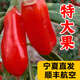 頭茬新鮮現摘鮮果枸杞子寧夏特產(chǎn)中寧大顆粒水果構杞500g紅枸杞 現摘頭茬大果1斤（加贈4冰袋）