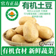 【有機(jī)蔬菜】非轉(zhuǎn)基因新鮮現(xiàn)摘現(xiàn)發(fā)孕婦寶寶輔助兒童年貨食材生鮮 【有機(jī)土豆】5斤*1份