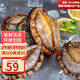 攜宴福建九孔大鮑魚 東山特產(chǎn) 深海海捕 鮮活急凍 火鍋燒烤食材 9-12頭/500g