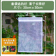 船長(cháng)花園水果套袋防蟲(chóng)防鳥(niǎo)尼龍專(zhuān)用網(wǎng)袋葡萄桃子石榴草莓無(wú)花果通用網(wǎng)紗袋 葡萄火龍果等】20個(gè)網(wǎng)袋20*30cm