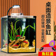 爬將軍桌面斗魚缸超白魚缸迷你小型家用客廳辦公室生態(tài)懶人水草缸 15*15*20cm缸（帶蓋）
