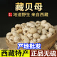 伊梵麥正宗西藏藏貝母藏尖貝顆粒 味苦川青平貝母 正宗藏貝母 正宗藏貝母 1大袋【250g】