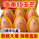 甘賢（GANXIAN）海南紅玉芒果【順豐速運(yùn)】新鮮現(xiàn)摘 香甜無(wú)絲 熱帶三亞大芒果禮盒 5斤禮盒裝（凈重5斤）