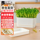 九千谷育苗盆芽苗菜盤種植發(fā)芽盆發(fā)豆芽神器黃綠豆芽無土栽培水培盤3901