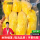 喜德農泰國金枕有核榴蓮肉 1kg*1袋 冷凍新鮮樹(shù)熟速凍鎖鮮水果順豐配送 精選金枕榴蓮肉1kg