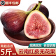 譯優(yōu)農(nóng)【順豐】云南紫紅皮無花果新鮮現(xiàn)摘時令水果孕婦奶漿果軟糯香甜 順豐【2斤】時令鮮果，兩人分享