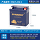 猛獅適用維斯帕VESPA GTS300 GTV300 GTS250 LXV150春天沖刺電瓶 MG7L-BS(春天/沖刺150.埋dl ）