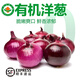 褚系嚴(yán)選【有機(jī)蔬菜】洋蔥新鮮 去皮紫洋蔥黃圓蔥頭 沙拉涼拌提味增香食材 【有機(jī)洋蔥】300g/份*6份