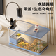 闊庭（KUOTING）烏龜缸生態(tài)缸寵物飼養(yǎng)箱透明爬寵專用藍(lán)色款