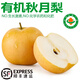 諸氏橙品【有機(jī)】秋月梨 現(xiàn)摘梨子 山東萊陽黃金香梨當(dāng)季水果整箱端中秋禮 【有機(jī)秋月梨6枚禮盒】3KG
