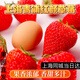 綠色食品草莓上海青浦趙屯奶油紅顏草莓頭茬新鮮4斤家庭裝實(shí) 紅顏奶油草莓味超濃家庭裝4斤 大果(單果20-35g) 果園現采