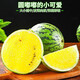 振億沭特小鳳西瓜新鮮水果【JD-送貨上門(mén)】冰淇淋黃瓤甜瓜薄皮黑籽西瓜 2顆凈重5-6斤【單果2.5-3.5斤】