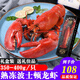 海喚 熟凍波士頓大龍蝦 海鮮大蝦 350g-400g*1只 禮盒裝 海鮮禮盒