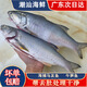 馬友魚(yú) 午筍魚(yú) 海捕活凍潮汕海鮮深海水產(chǎn)品馬鲅魚(yú)去肚去鱗海魚(yú) 一斤兩條（去肚前500g）*1