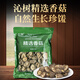 沁樹精選香菇肉厚無根煲湯食材