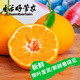 生活＆好管家 四川春見(jiàn)耙耙柑新鮮水果應季橘子現摘孕婦水果整箱桔子橘子 精品級商超果 8.5-9斤【單果90mm+】?jì)糁?斤
