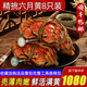 【活蟹】陽(yáng)澄清歆大閘蟹 鮮活特大螃蟹公蟹母蟹 海鮮水產(chǎn)生鮮禮盒 稀缺六月黃4.5-4.8兩 八只預定裝