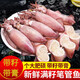 華香春海兔子 滿籽筆管魚 鮮活冷凍籽烏章魚新鮮墨魚仔小魷魚烏賊 籽烏 6斤(凈重)  【筆管魚海兔子】