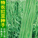 摘不敗豇豆種子特長(cháng)豇豆豆角春秋綠架豆蔬菜種子大全 901綠先鋒長(cháng)豆角種子250粒