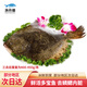 漁傳播大連冰鮮三去多寶魚(yú) 凈含量400-450g/條 魚(yú)類(lèi)生鮮 源頭直發(fā)