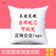 FME居家個(gè)性抱枕定制等身睡覺(jué)靠墊來(lái)圖照片diy定做公司logo禮物禮品 高雅絲滑亮段 雙面35x35cm-含芯