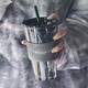 愛舒貝（AISHUBEI）玻璃吸管杯水杯女生辦公室精致高顏值極光杯咖啡杯男士帶蓋玻璃杯 鹿系極光煙灰+杯套+吸管 1只