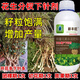 耕豐旺花生分杈下針多花生高產(chǎn)用開(kāi)花多下針多粒粒飽抗病增產(chǎn)花生下針多 花生下針劑 500克x2瓶