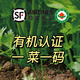 有機(jī)西芹有機(jī)蔬菜榨汁生食沙拉現(xiàn)摘新鮮健身生酮飲食包順豐空運(yùn) 4.5斤順豐空運(yùn)