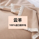 云羊羊毛毯加厚保暖高檔100純羊毛鋪蓋毯墊床上秋冬米駝色輕奢絨毯子 米駝色   100%進口細羊毛 150*200cm+3.6斤