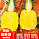 鯨咚億農海南金鉆鳳梨無眼菠蘿手撕鳳梨當季時令新鮮孕婦整箱禮盒水果 精選5斤時令鳳梨【2-3個】