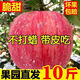 補(bǔ)貼價(jià)】頭茬陜西紅富士蘋果脆甜新鮮冰糖心蘋果水果一整箱批發(fā) 精選大果【70-75mm】?jī)糁?斤裝 限時(shí)特賣：只剩00:05分