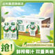 豆本豆【新品】生椰豆奶250ml*20盒生榨椰汁植物蛋白飲料學(xué)生奶早餐奶 生椰豆奶250ml*20盒