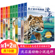沈石溪動(dòng)物小說(shuō)全集正版全套10冊 動(dòng)物小說(shuō)大王的書(shū)系列精品珍藏版 小學(xué)生課外閱讀書(shū)籍三四五六年級課外書(shū)適合8-12歲兒童書(shū)籍 【全套10冊】沈石溪選評動(dòng)物小說(shuō)