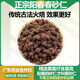 正宗陽(yáng)春特產(chǎn)春砂仁干果特級精選傳統火焙黃苗仔養胃煲湯中藥材 正宗春砂仁50g