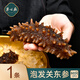 巢心燕大參王關(guān)東參即食海參五星級酒店專用單條裝泡發(fā)好預(yù)制菜非養(yǎng)殖參 60只/斤 GD參60頭1條價