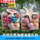 Aseblarm天然海螺貝殼標(biāo)本擺件海星手工diy工藝品水族箱魚缸裝飾造景套裝 1個(gè)天然海星250克貝殼海螺+手拎袋