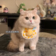 OEING貓咪狗可愛(ài)圍兜寵物蕾絲布藝口水巾手工編織拍照飾品圍脖裝飾項圈 快樂(lè )小鴨 均碼【建議4-20斤】