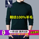 袋鼠 加厚款純羊毛衫男半高領(lǐng)秋冬純色修身保暖男毛衣百搭全羊毛男裝打底衫多好評 軍綠色 加厚款 XL/175