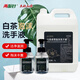 途悅白茶泡沫洗手液補(bǔ)充替換大桶裝白茶香型 5L1桶+320ml兩瓶
