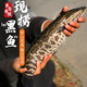 密農人家新鮮黑魚(yú) 烏魚(yú) 冰鮮發(fā)貨 質(zhì)鮮嫩刺少鮮魚(yú)肉當日捕撈黑魚(yú) 北京鮮魚(yú) 2斤[整魚(yú)]