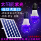 LED太陽(yáng)能魚(yú)塘喂養(yǎng)殖場(chǎng)家庭專用黑光水面引蟲(chóng)果園誘捕蛾紫光燈泡 太陽(yáng)能誘蟲(chóng)燈-單頭