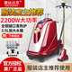 娜絲達克(NASIDAKE)蒸汽掛燙機大功率服裝店商用2200瓦全銅接口立式燙衣機家用熨燙機手持燙衣服立式電熨斗 X1 烤漆紫紅色 2200W雙全銅接口