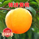 歐悟 錦繡黃桃樹苗嫁接黃肉桃樹苗南北方種植庭院陽(yáng)臺(tái)盆栽地栽果樹苗 3年壯苗