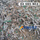 500克1斤雜電阻電容包發(fā)光二三極管LED燈電子元件器件雜散混裝包 雜電阻包500克